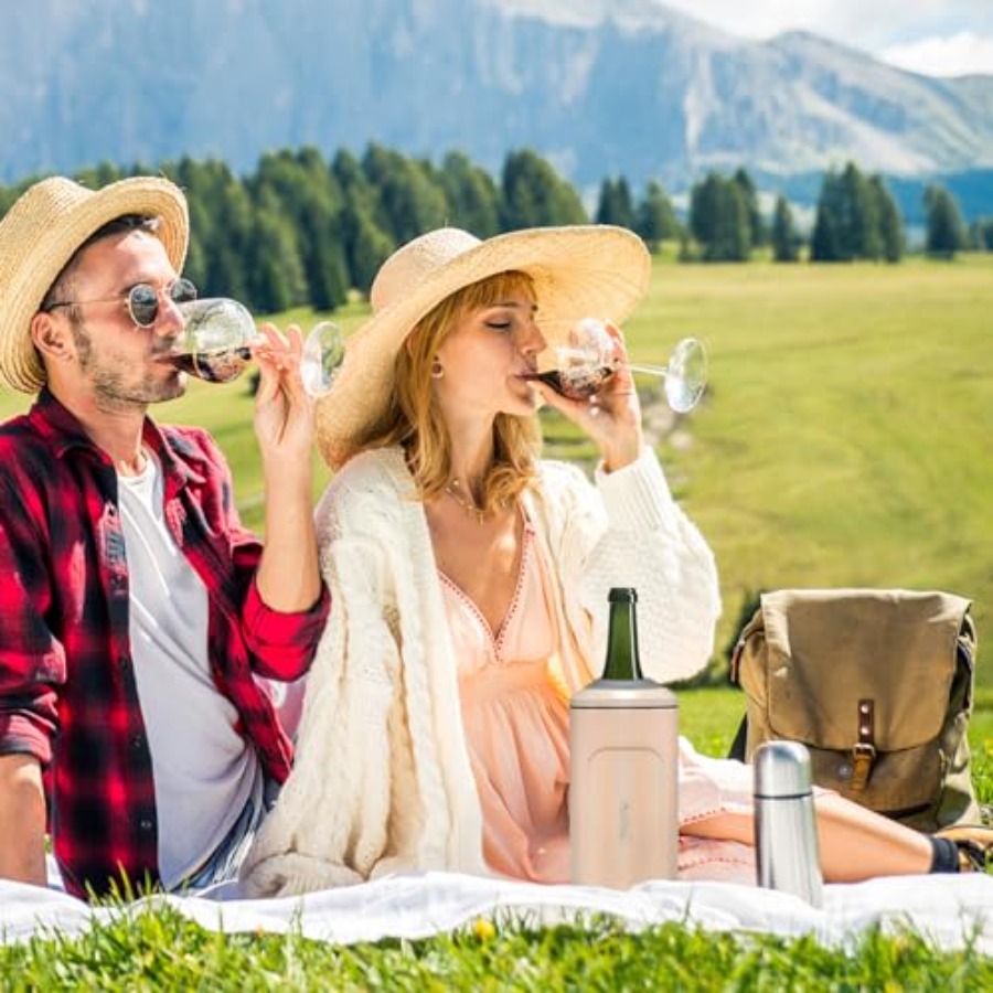 Wine Chillers for Bottles-Idea - Wine Chiller Sleeve บทวิจารณ์และราคา